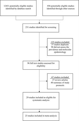 Prevalence and genetic diversity of rotavirus in Bangladesh during pre-vaccination period, 1973-2023: a meta-analysis